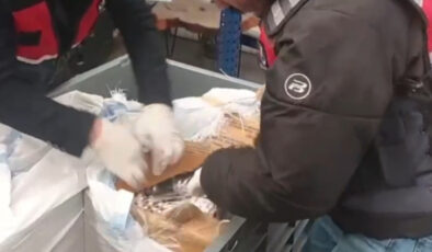 25 İlde Uyuşturucu Operasyonu: 3 Milyon Doz Hap ve Yüzlerce Kilo Madde Ele Geçirildi, 99 Tutuklama