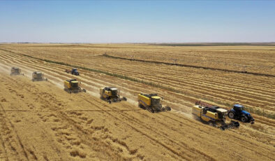 TMO’dan Hububat Satışlarına Yeni Düzenleme: Fiyat İstikrarı ve Yeni Hasat Sezonu Hazırlıkları