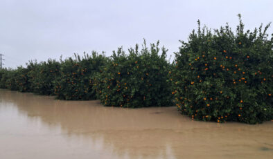 İklim Değişikliğiyle Artan Aşırı Hava Olayları: Çevre Mühendislerinden Uyarılar ve Çözüm Önerileri