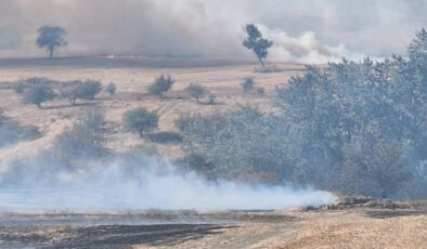 Edirne’de Anız Yakımına Geçit Yok: Cezalar Katlanarak Artıyor!