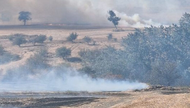 Edirne’de Anız Yakımına Geçit Yok: Cezalar Katlanarak Artıyor!
