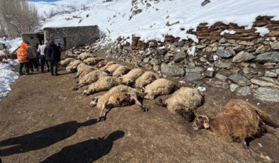 Van’da Ahır Yangını: 67 Küçükbaş Hayvan ve 1 İnek Telef Oldu, Çiftçi Yardım Bekliyor