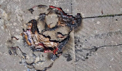 Diyarbakır’da Balon Faciası: Helyum Gazı Dolu Balonların Patlaması Sonucu 2 Çocuk Yaralandı