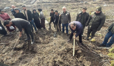Eskişehir Seyitgazi’deki Orman Yangınında Ağaçlandırma Çalışmaları Başladı: Yanan Alanlar Yeniden Yeşerecek