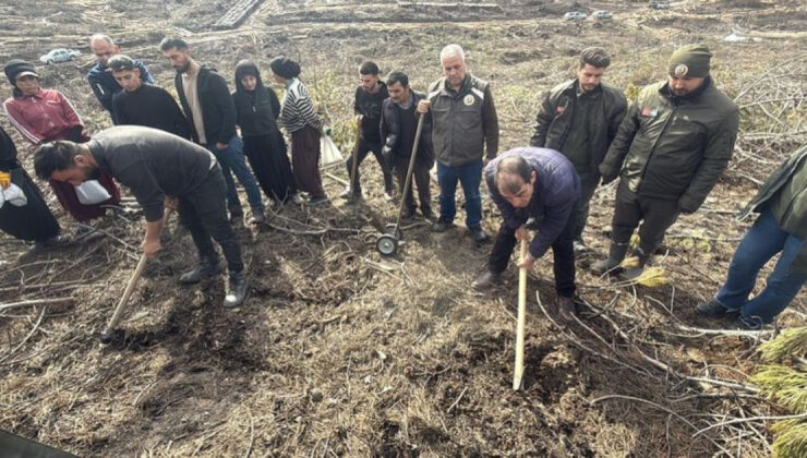 Eskişehir Seyitgazi’deki Orman Yangınında Ağaçlandırma Çalışmaları Başladı: Yanan Alanlar Yeniden Yeşerecek