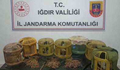 Iğdır’da Kaçak Keklik Avına Ağır Ceza: 175 Bin Lira Para Cezası