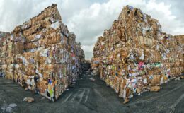 Sıfır Atık Projesi’nde Büyük Başarı: Türkiye’den Geleceğe Yatırım