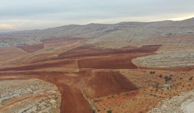Tarım Arazileri Üretime Kazandırılıyor: Yeni Hibe Destekleriyle Bitkisel Üretim Artacak