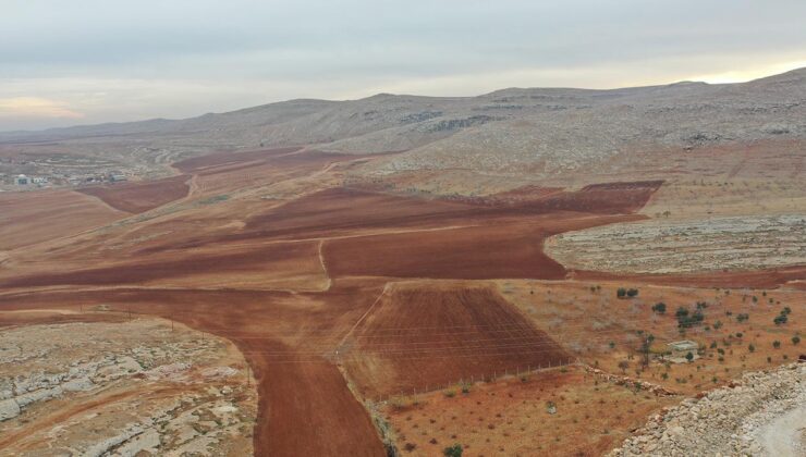 Tarım Arazileri Üretime Kazandırılıyor: Yeni Hibe Destekleriyle Bitkisel Üretim Artacak
