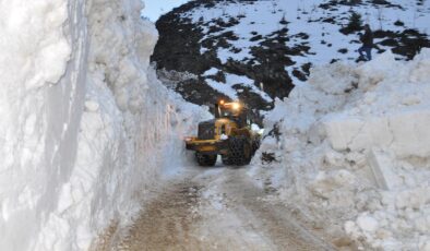 Bitlis’te Çığ Tehlikesi: Karbastı Köyü Yolu Çığ Nedeniyle Kapandı, Ekipler Çalışmalara Başladı