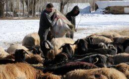 Yerel Kalkınma Hamlesi Başlıyor: Bölgelerin Ekonomik Potansiyeli Harekete Geçiyor