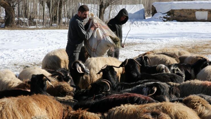 Yerel Kalkınma Hamlesi Başlıyor: Bölgelerin Ekonomik Potansiyeli Harekete Geçiyor