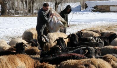 Yerel Kalkınma Hamlesi Başlıyor: Bölgelerin Ekonomik Potansiyeli Harekete Geçiyor