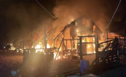 Bursa’da Çiftlik Yangını: Yüzlerce Hayvan Telef Oldu, Çıkış Nedeni Araştırılıyor