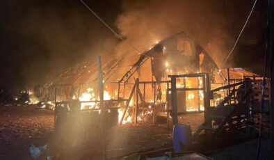 Bursa’da Çiftlik Yangını: Yüzlerce Hayvan Telef Oldu, Çıkış Nedeni Araştırılıyor