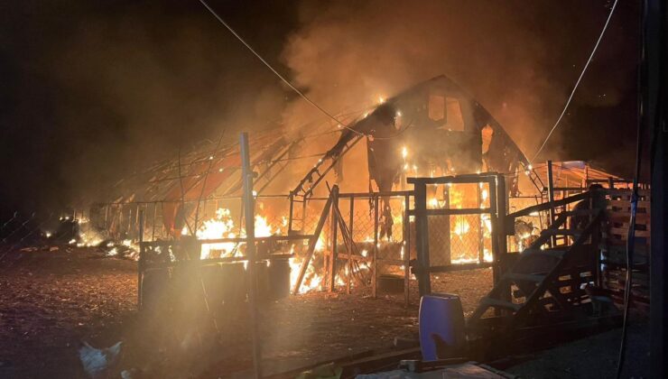 Bursa’da Çiftlik Yangını: Yüzlerce Hayvan Telef Oldu, Çıkış Nedeni Araştırılıyor