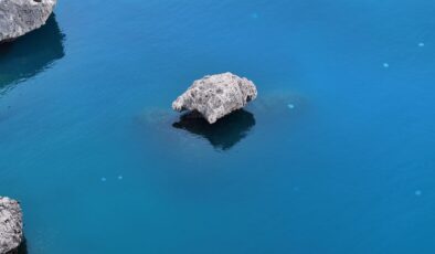Antalya Kıyılarında Denizanası Tehlikesi: Uzmanlar Uyarıyor, Balıkçılar Zor Durumda