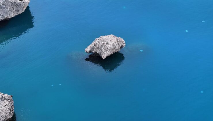 Antalya Kıyılarında Denizanası Tehlikesi: Uzmanlar Uyarıyor, Balıkçılar Zor Durumda
