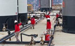 Gabar Dağı’nda Kadın Eli: Türkiye’nin Enerji Zaferine İmza Atan Kadınlar