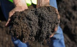 Hürmüz Boğazı Krizi: Orta Doğu Gerilimi Küresel Gıda Güvenliğini Tehdit Ediyor