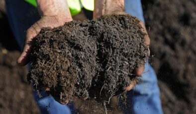 Hürmüz Boğazı Krizi: Orta Doğu Gerilimi Küresel Gıda Güvenliğini Tehdit Ediyor