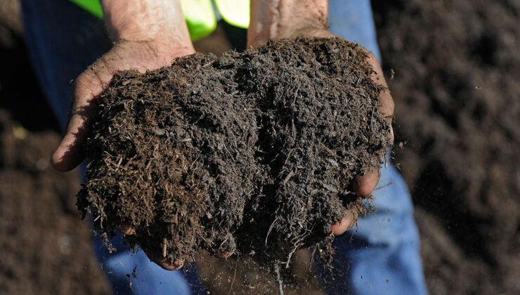 Hürmüz Boğazı Krizi: Orta Doğu Gerilimi Küresel Gıda Güvenliğini Tehdit Ediyor