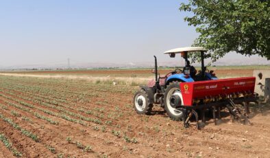 DMM’den Gübre Açıklaması: Türkiye’de Gübre Tedariki Sorunsuz, Stoklar Yeterli