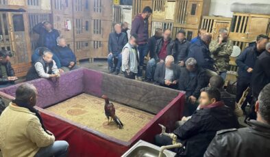 Hasköy’de Horoz Dövüşüne Soruşturma: 23 Kişiye Para Cezası
