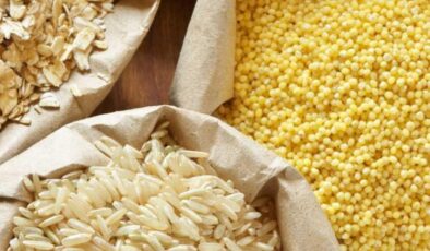 Güneydoğu’dan Hububat İhracatında 552.8 Milyon Dolarlık Başarı, Zorluklar Devam Ediyor