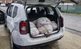 İstanbul’da At Eti Operasyonu: 306 Kilogram Kaçak Et Ele Geçirildi, Silah ve Uyuşturucu Bulundu