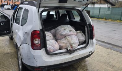 İstanbul’da At Eti Operasyonu: 306 Kilogram Kaçak Et Ele Geçirildi, Silah ve Uyuşturucu Bulundu