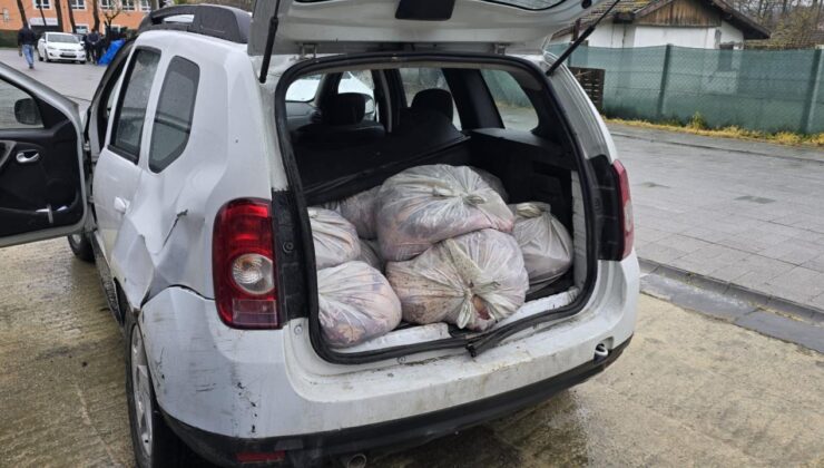 İstanbul’da At Eti Operasyonu: 306 Kilogram Kaçak Et Ele Geçirildi, Silah ve Uyuşturucu Bulundu