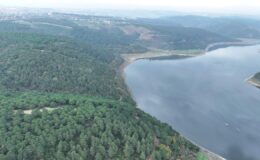 Türkiye’de Baraj Doluluk Oranları Yükseldi: Yağışlar ve Su Yönetimi Verileri