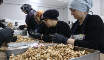 KOSGEB’den KOBİ’lere Büyük Destek: Yenilikçi ve Sürdürülebilir Bir Gelecek Hedefleniyor