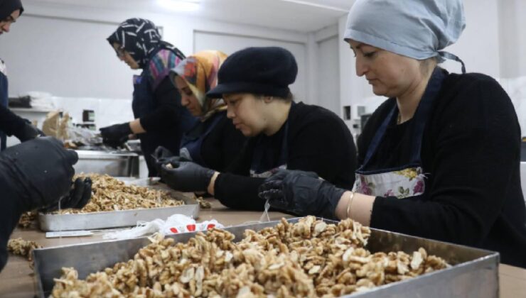 KOSGEB’den KOBİ’lere Büyük Destek: Yenilikçi ve Sürdürülebilir Bir Gelecek Hedefleniyor