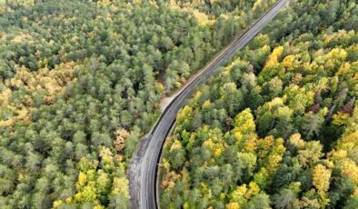 Türkiye’nin Orman Varlığı Artıyor: 2025 Faaliyet Raporu’ndan Önemli Veriler