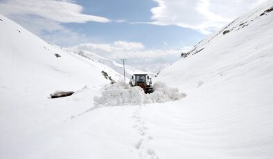Bitlis’te Kar Kaplanları Mart Ayında Da Ulaşım İçin Mücadeleye Devam Ediyor