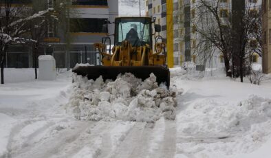 Doğu Anadolu’da Kar ve Tipi: Birçok Yerleşim Yeri Ulaşıma Kapandı, Ekipler Çalışıyor