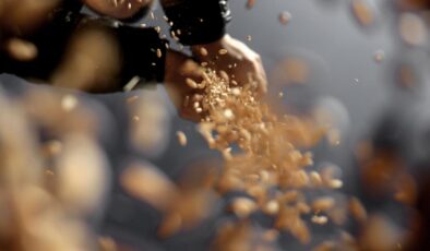 Tahıl Tohumu Sertifikasyonu Yeni Yönetmelikle Dijitalleşiyor: Kaliteli Tohum Üretimi ve Pazarlaması Güvence Altında