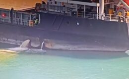 Mersin Limanı’nda Çevre Felaketi: Denizi Kirleten Gemiye Rekor Ceza