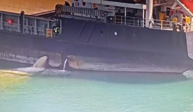 Mersin Limanı’nda Çevre Felaketi: Denizi Kirleten Gemiye Rekor Ceza