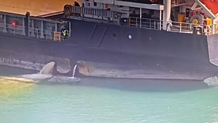 Mersin Limanı’nda Çevre Felaketi: Denizi Kirleten Gemiye Rekor Ceza