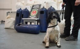 İpsala’da Narkotik Operasyonları: 35 Kilo Uyuşturucu Ele Geçirildi, Sürücüler Gözaltında