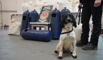 İpsala’da Narkotik Operasyonları: 35 Kilo Uyuşturucu Ele Geçirildi, Sürücüler Gözaltında