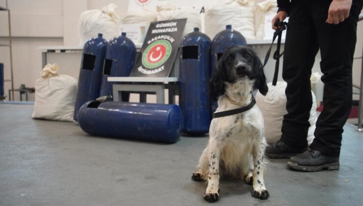 İpsala’da Narkotik Operasyonları: 35 Kilo Uyuşturucu Ele Geçirildi, Sürücüler Gözaltında