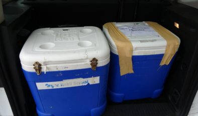 Giresunlu Genç Kadının Organları 3 Kişiye Umut Oldu: Hayata Tutunan Yeni Hayatlar