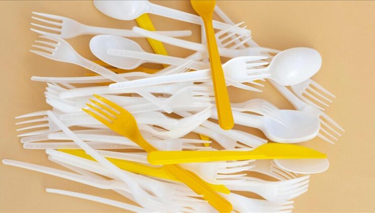 Tek Kullanımlık Plastiklere Veda: Çevre Dostu Dönüşüm Başlıyor