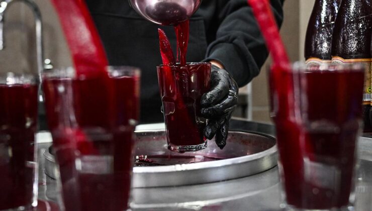 Adana Şalgamı AB’den Coğrafi İşaret Aldı: Türkiye’nin Tescilli Ürünleri Arasına Katıldı