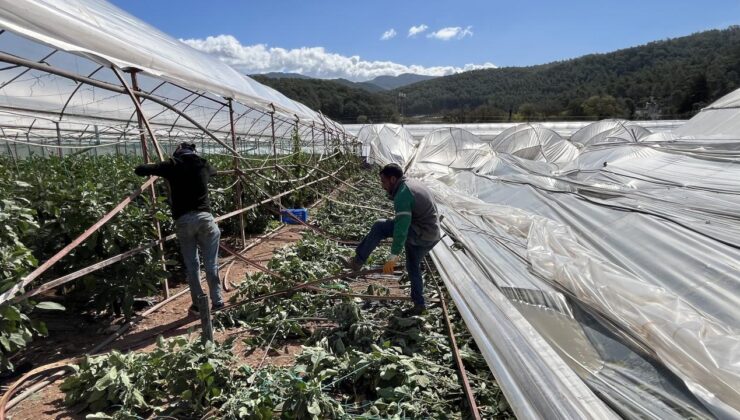 Antalya Kumluca’da Hortum Seraları Vurdu: Çiftçiler Zarar Gördü