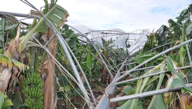 Mersin Silifke’de Dolu ve Fırtına Çiftçileri Vurdu: 150 Dönüm Sera Zarar Gördü